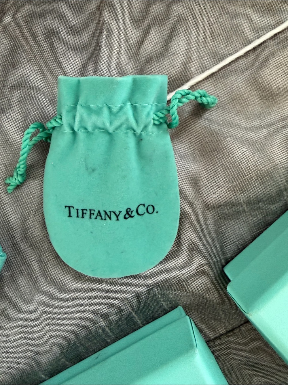 Tiffany & Co. Signature Blue Jewelry Boxes and Pouches - Picture 5 of 13